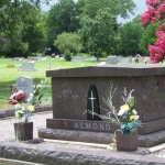 almond2